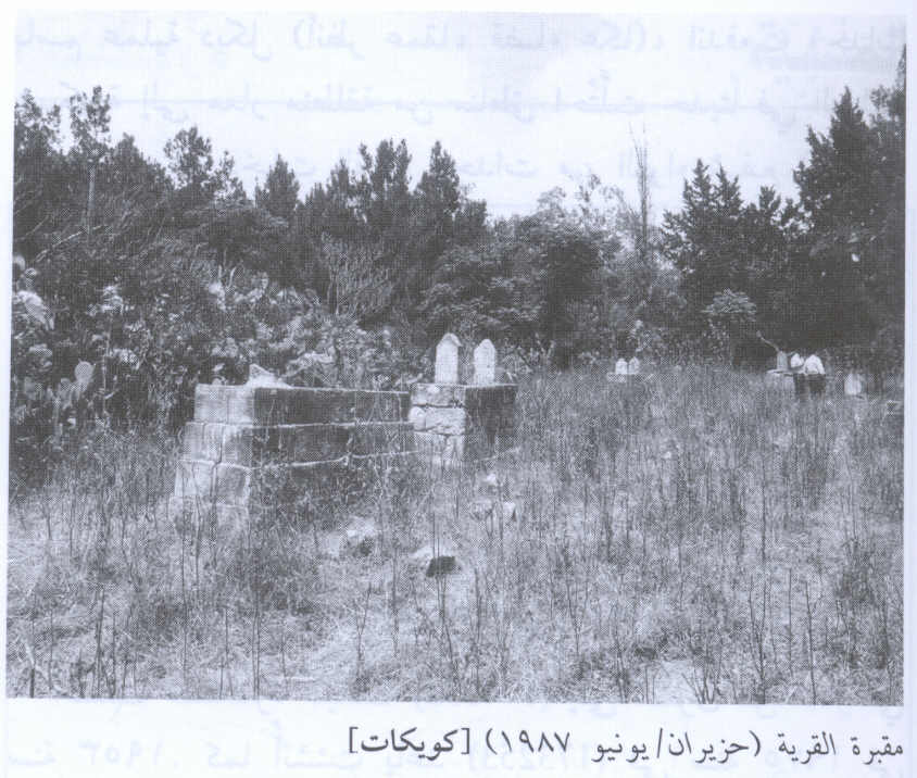 صورة لقرية كويكات - فلسطين: : مقبرة الكويكات -1987