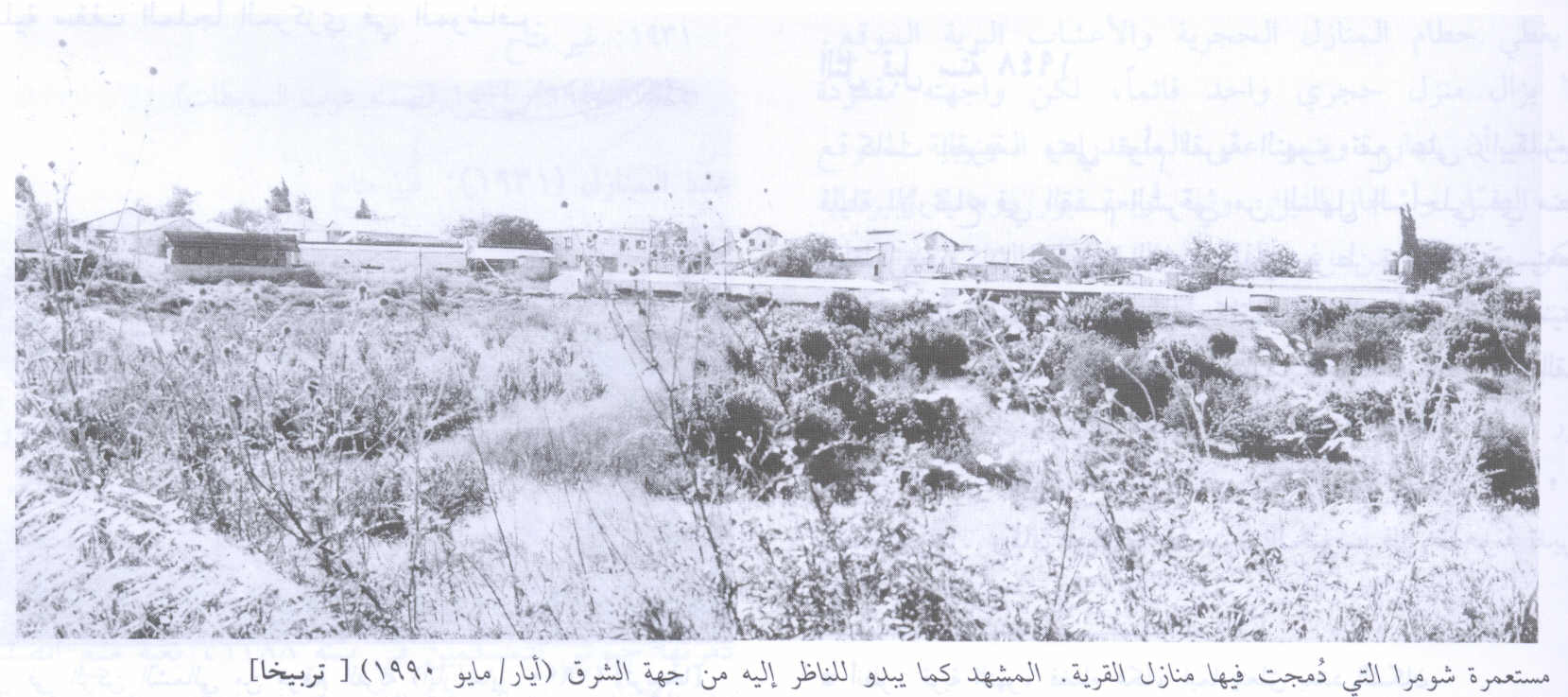 صورة لقرية تربيخا - فلسطين: : اراضي القرية المدمرة، اُنقر الصورة لتكبيرها. 1990