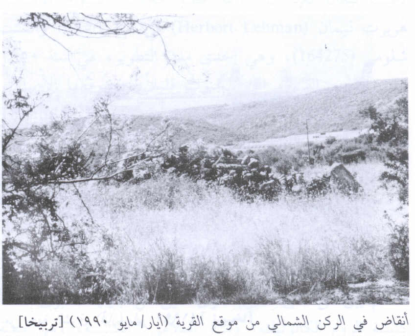 صورة لقرية تربيخا - فلسطين: : اطلال البيوت التي هدمها الصهاينة. 1990