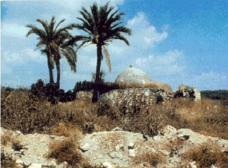 صورة لقرية البصة - فلسطين: : مقام البصة