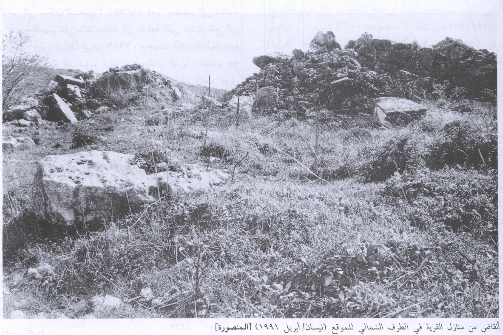 صورة لقرية المنصوره - فلسطين: : اطلال البيوت التي هدمها الصهاينة، اُنقر الصورة لتكبيرها. 1991