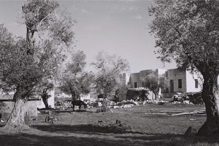 صورة لقرية السميريه - فلسطين: : A village scene during the pre-Nakba period -- مشهد في القرية يعود لقبل النكبة