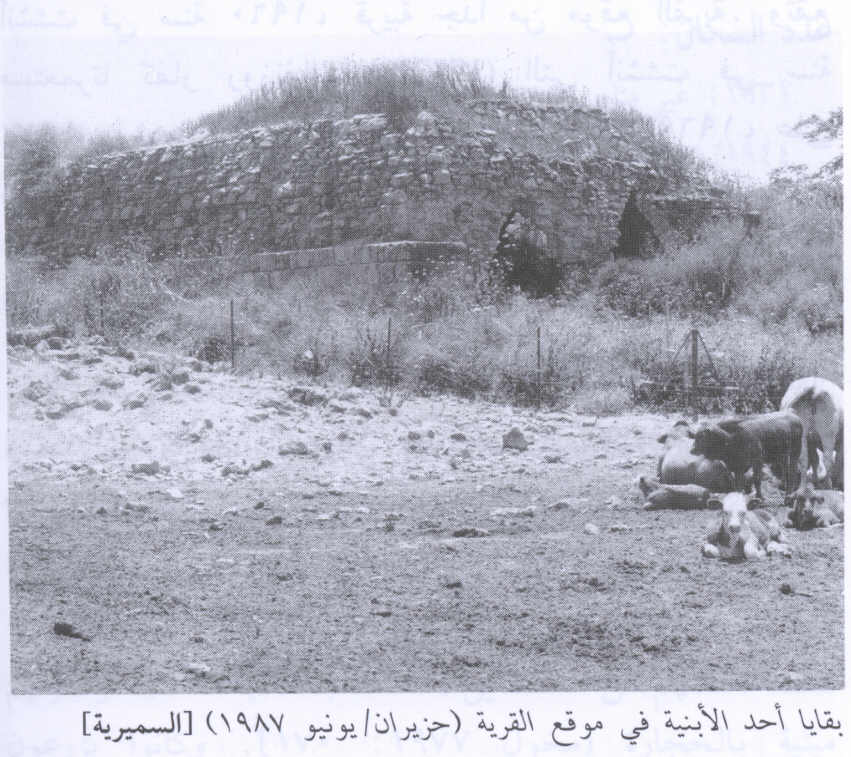 صورة لقرية السميريه - فلسطين: : بيت هدمه الصهاينة في القريه -1987