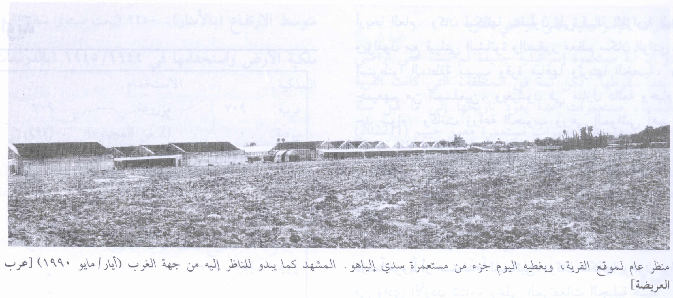 Picture for 'Arab al-'Arida Village - Palestine: : Village Site in 1990