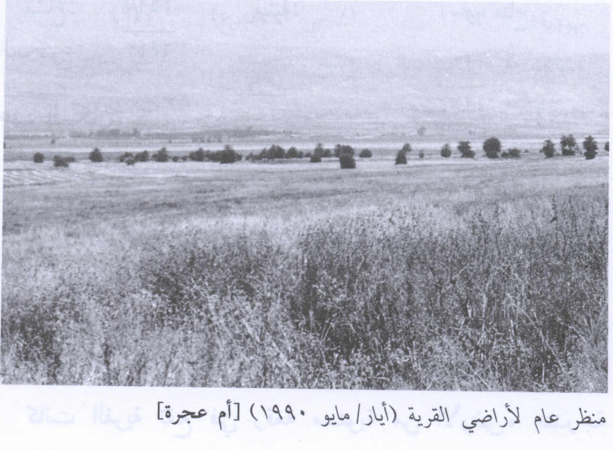 صورة لقرية ام عجره - فلسطين: : منظر لموقع القرية التي دمرها الصهاينة وطهروا عرقياً سكانها-1990