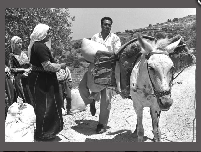 صورة لقرية خربة ام صابونة (عرب صقر) - فلسطين: : قريه خربه ام صابونه سنه 1945