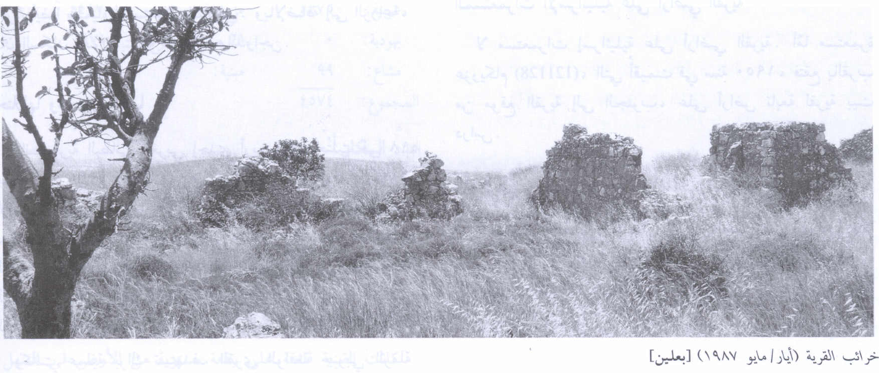 Picture for Bi'lin Village - Palestine: : Village Rubble In 1987