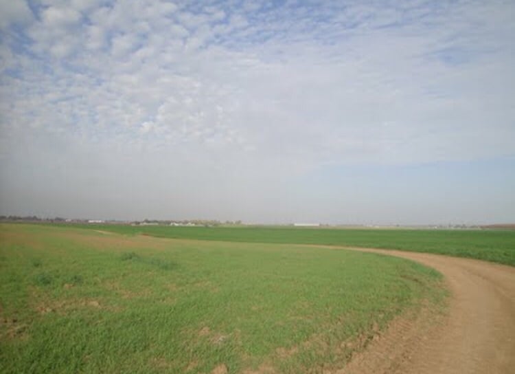 Picture for Hatta Village - Palestine: : اراضي حتا
