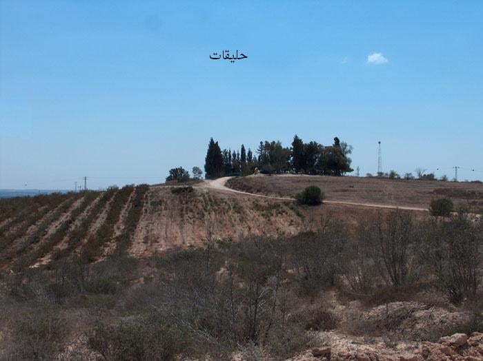 Picture for Hulayqat Village - Palestine: : منظر عام لموقع القرية المدمرة