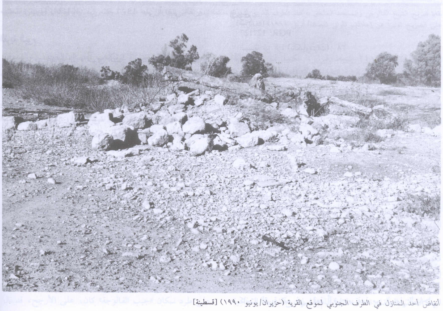 Picture for Qastina Village - Palestine: : Destroyed Village House In 1990