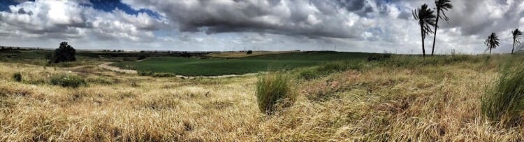 Picture for al-Jaladiyya Village - Palestine: : موقع القريه