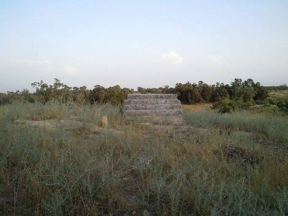 Picture for Abu Muailiq/Hasanat Village - Palestine: : صوره من اراضى عشيره حسنات ابو معيلق