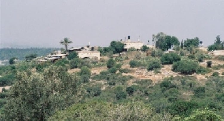 Picture for Dar al-Hannoun Village - Palestine: : قريه دار الحنون