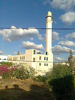 صورة لقرية فلامة - فلسطين: : مسجد فلاميه