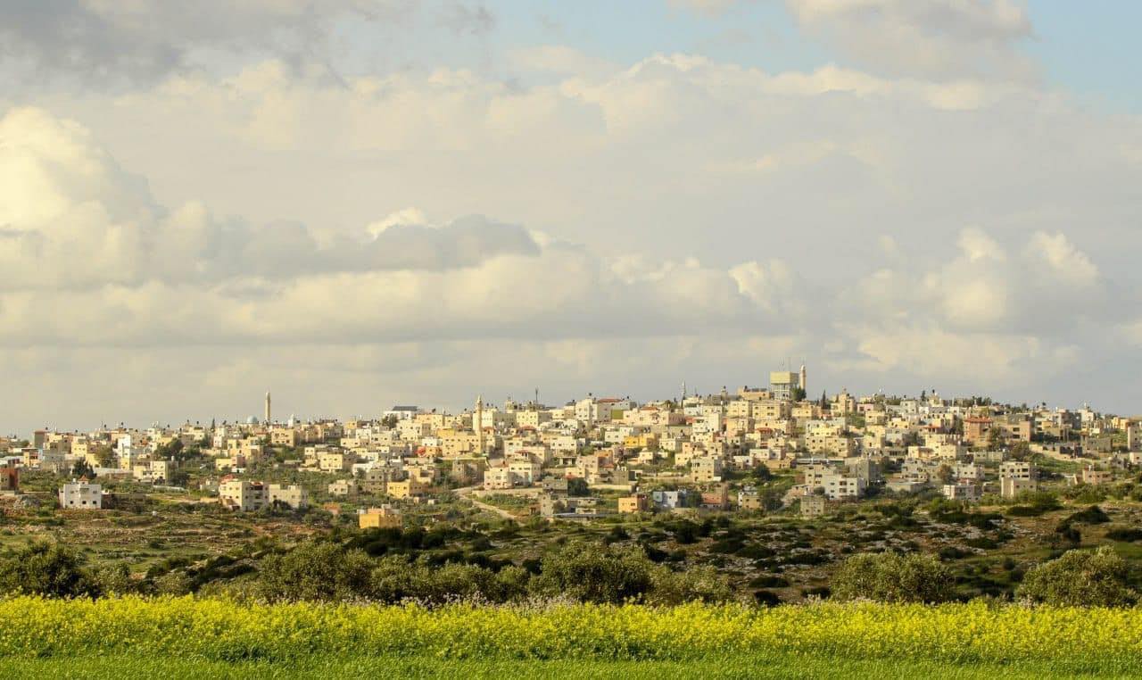 صورة لقرية فقوعه - فلسطين: : منظر عام رائع للقرية #2