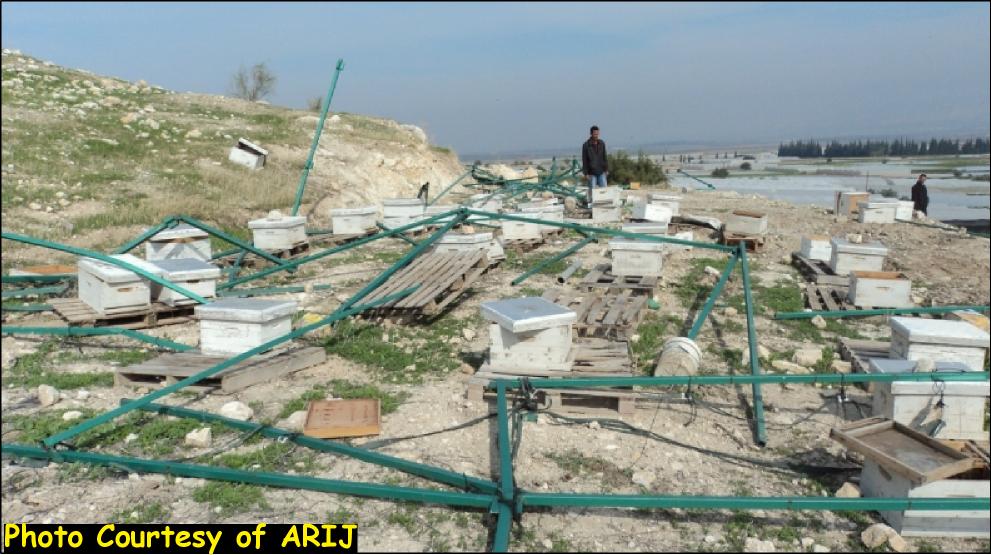 Picture for Kh. Kardala Village - Palestine: : منشآت هدمها الاحتلال في قرية كردلة