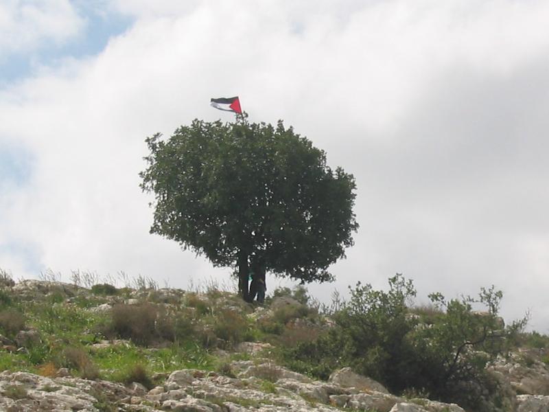 Picture for Kh. Mismar Village - Palestine: : مسمار