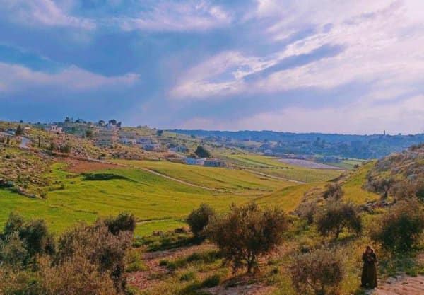 Picture for Khirbat al-Majd Village - Palestine: : منظر عام #2