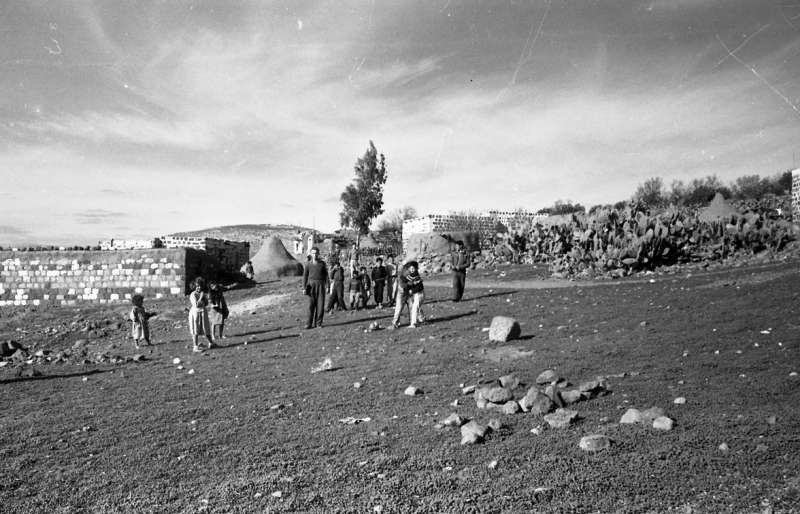 Picture for Tamra Village - Palestine: : طمرة منظر عام ويظهر بالافق جبل تابور عام 1950