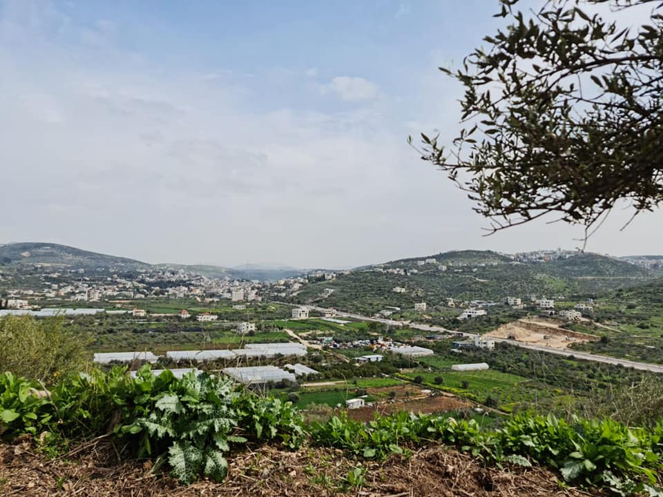 Picture for Thinnaba Village - Palestine: : ربيع -2022 #4