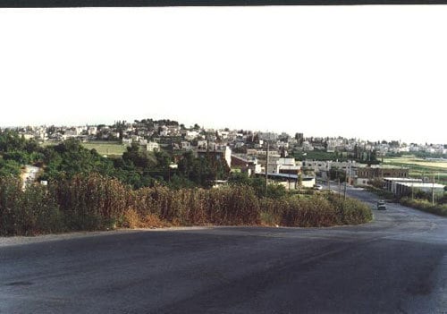 Picture for Thinnaba Village - Palestine: : ذنابة
