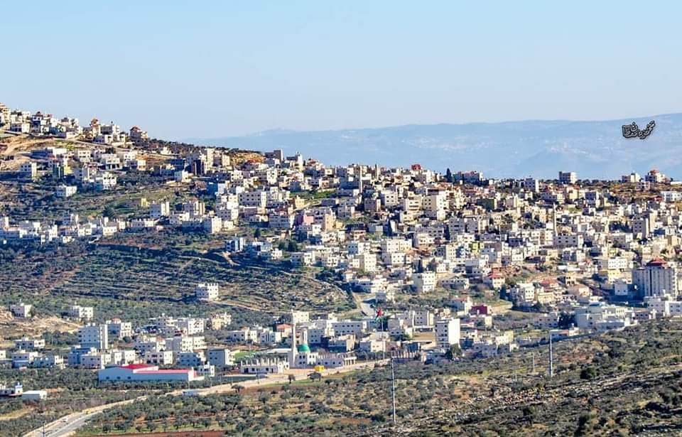 Picture for 'Aqraba Village - Palestine: : منظر عام رائع للبلدة -- محمود معطان