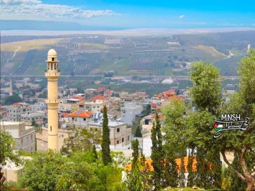 Picture for 'Ar'ara Village - Palestine: : منظر عام
