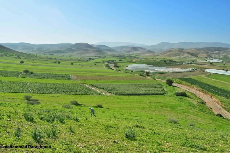 Picture for al-Farisiya Village - Palestine: : منظر عام