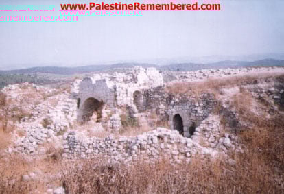 Picture for Sa'sa', Khirbat Village - Palestine: : Khirbat Sa'sa ruins, a view from the East, 2000