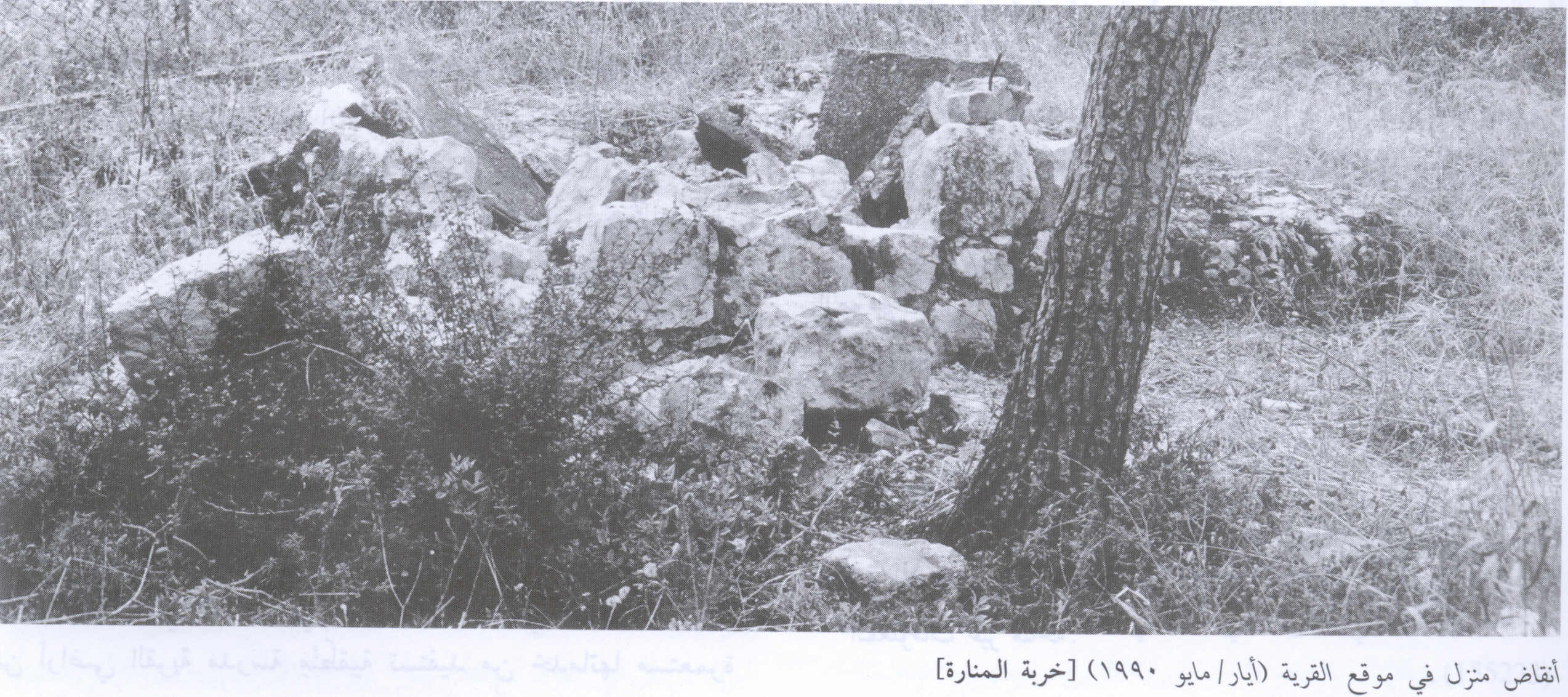 صورة لقرية خربة المنارة - فلسطين: : أطلال بيوت القرية المدمرة 1990