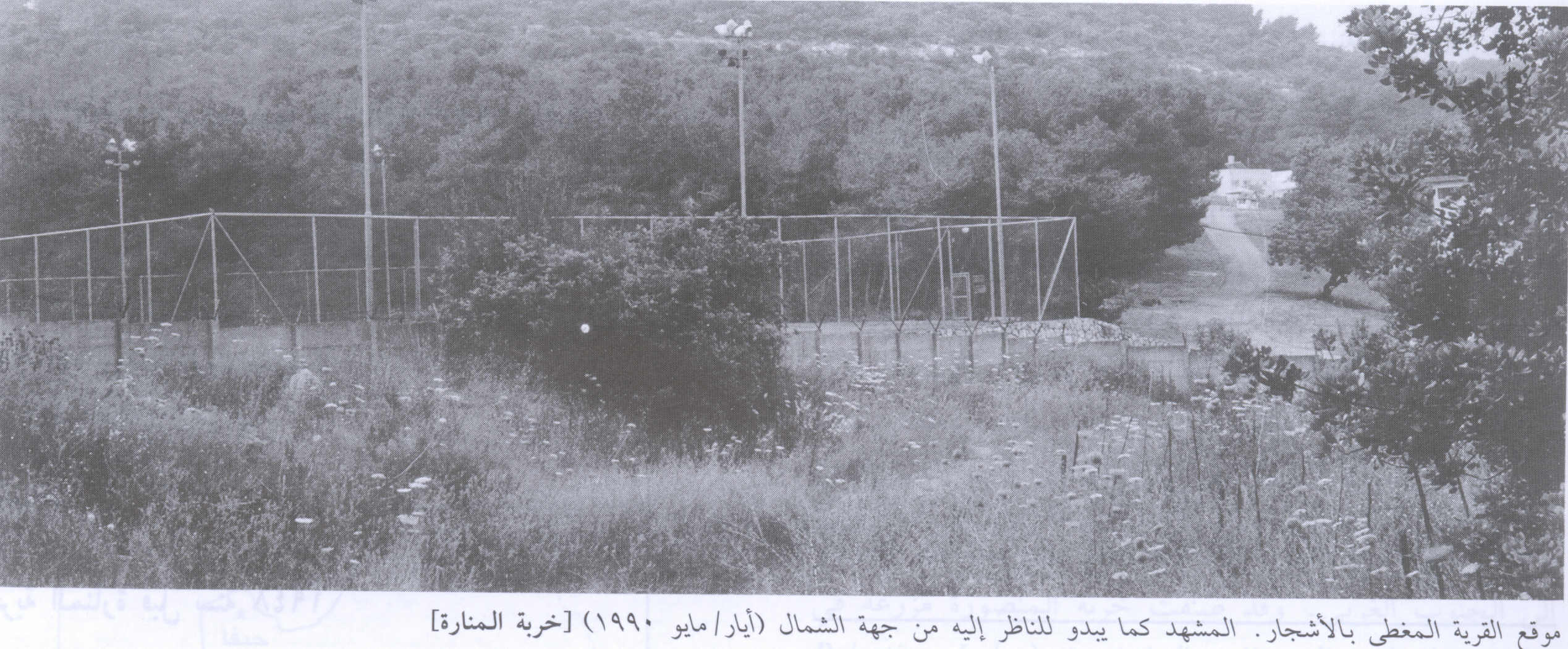 صورة لقرية خربة المنارة - فلسطين: : منظر عام لموقع القرية من الجهة الشمالية التي دمرها الصهاينة وطهروا سكانها عرقياً. 1990
