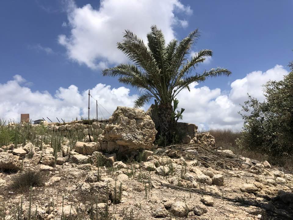 Picture for al-Sarafand Village - Palestine: : That is how the 
