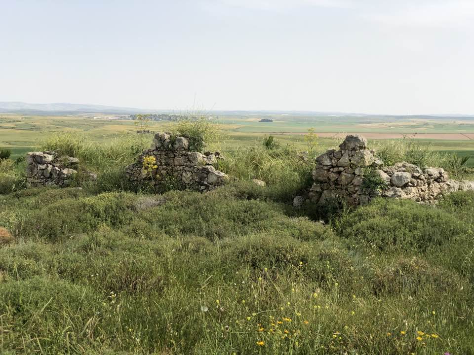 Picture for Dayr al-Dubban Village - Palestine: : Let us see what the most 