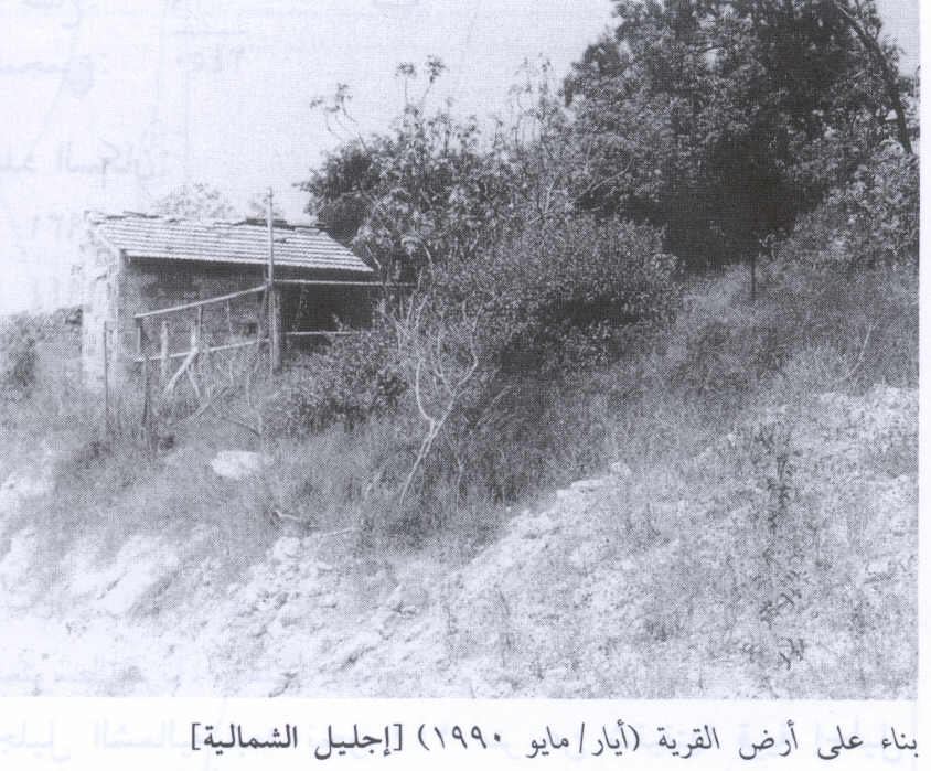 صورة لقرية إجليل الشمالية - فلسطين: : احدى بيوت القرية المغتصبة، 1990.