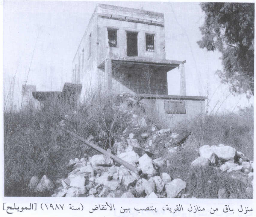 صورة لقرية المويلح - فلسطين: : احدى بيوت القرية المغتصبة، 1987.