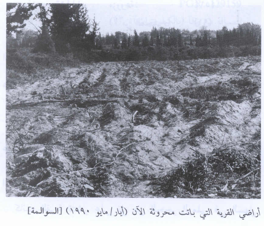 صورة لقرية السوالمة - فلسطين: : منظر لأراضي القرية التي دمرها الصهاينة وطهروا سكانها عرقيا. 1990