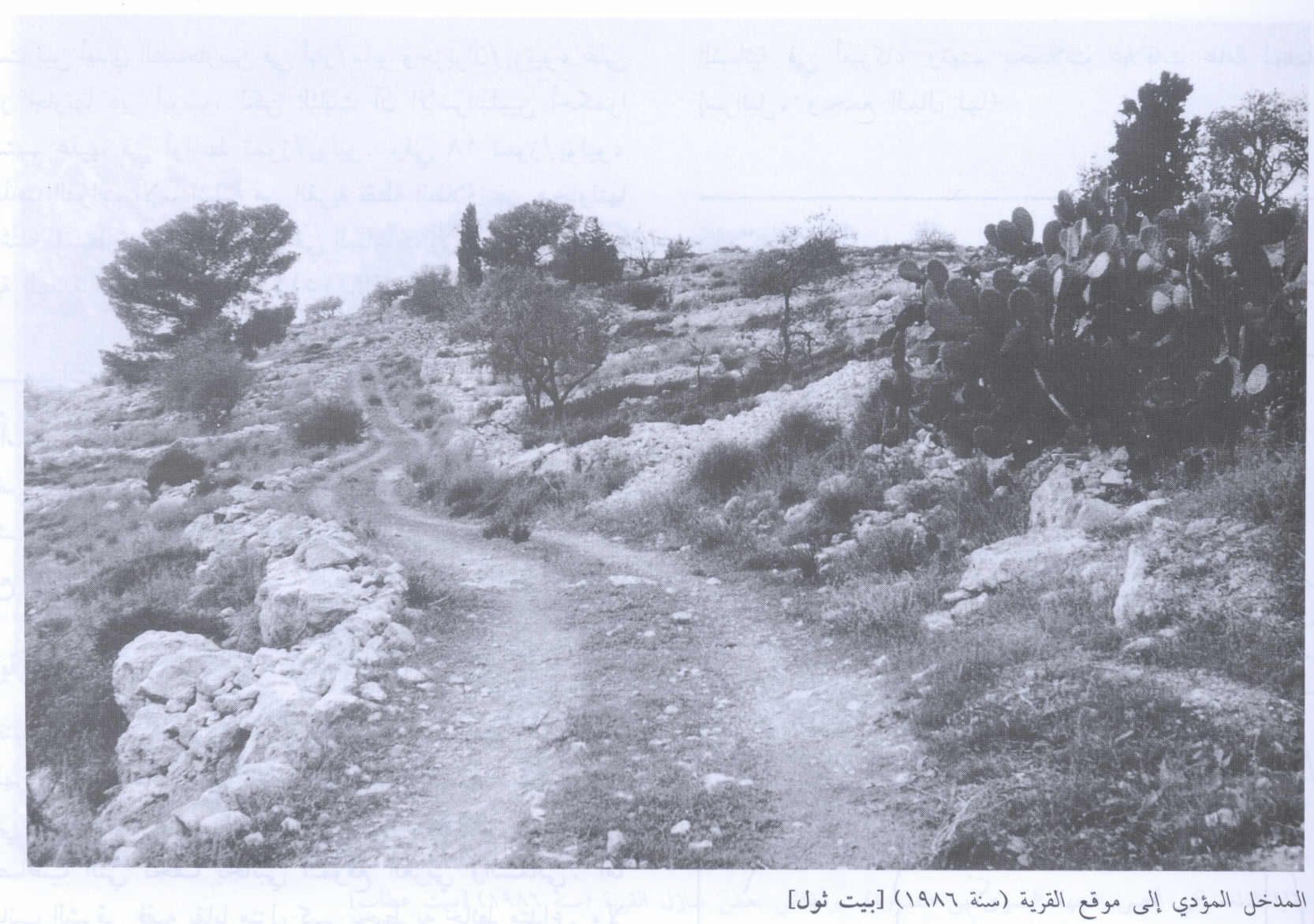 صورة لقرية بيت ثول - فلسطين: : مدخل القرية المدمرة والمطهرة عرقيا 1986