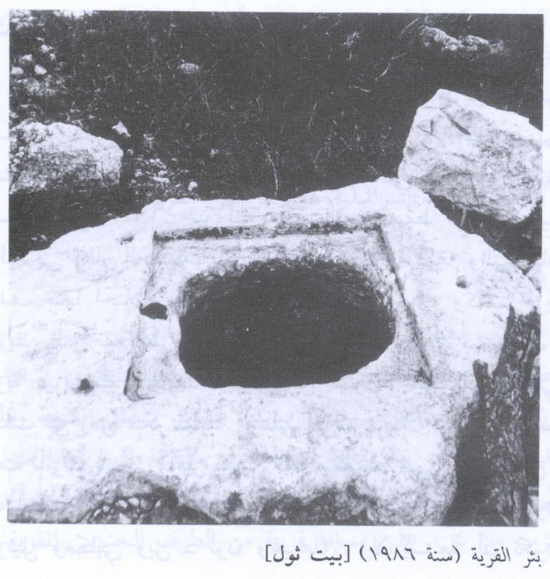 صورة لقرية بيت ثول - فلسطين: : إحدى آبار القرية لاتزال تنتظر اصحابها 1986