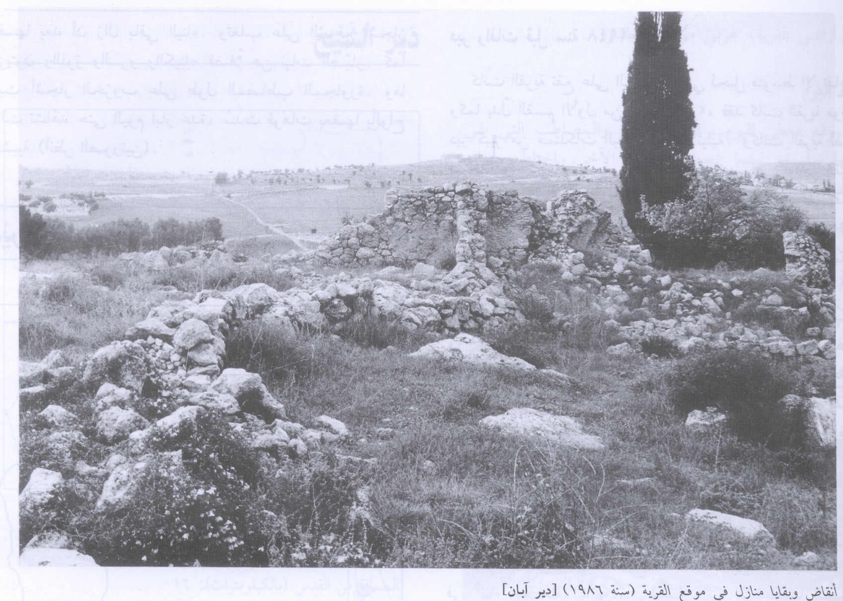 صورة لقرية دير آبان - فلسطين: : أنقاض البيوت المدمرة واضحة. 1986