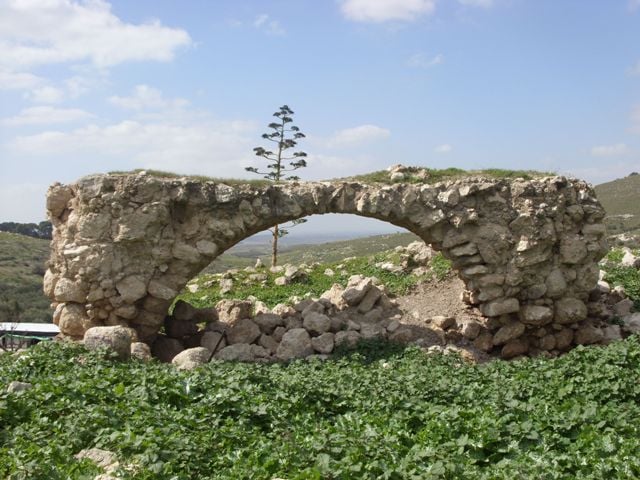 صورة لقرية دير رفات - فلسطين: : Arce in Dayr Village ( Remains) 2008