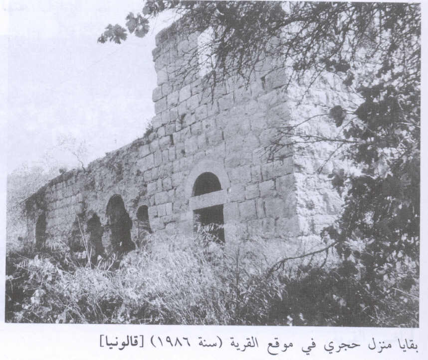 صورة لقرية قالونيا - فلسطين: : إحدي بيوت القرية التي لم تدمر. 1986