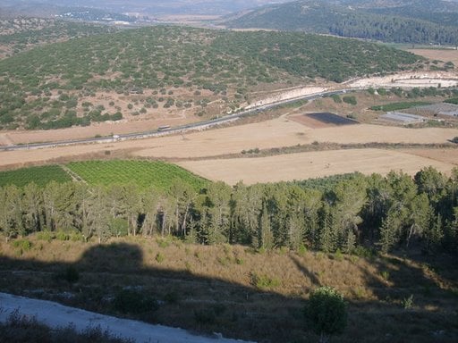 صورة لقرية صرعة - فلسطين: : حقول القرية المغتصبة