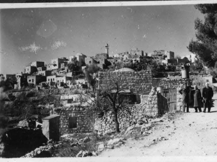 Picture for al-Maliha Village - Palestine: : Rare pictures of our village al-Maliha taken two years after the Jews replaced and dispossessed, 1950 -- مجموعة صور نادرة للمالحة..اخذت سنتين بعد إغتصابها #2