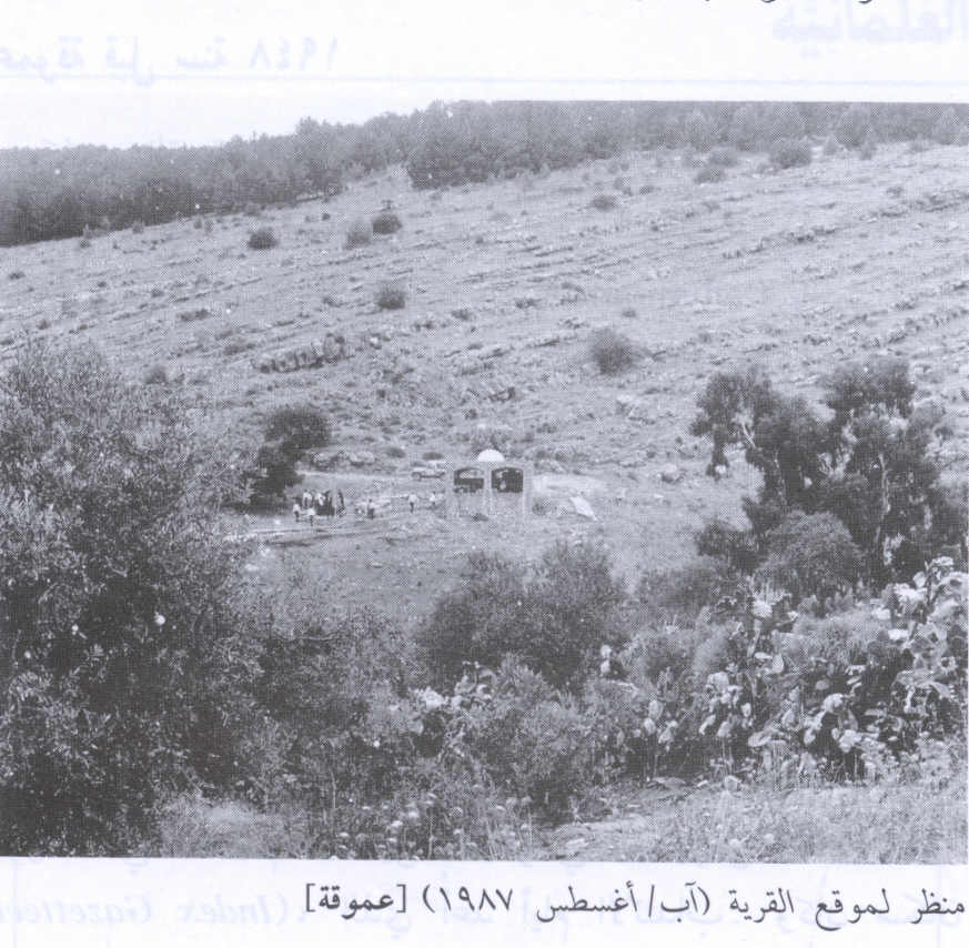 صورة لقرية عموقه - فلسطين: : منظر لموقع القرية التي دمرها الصهاينة وطهروا سكانها عرقيا. 1987