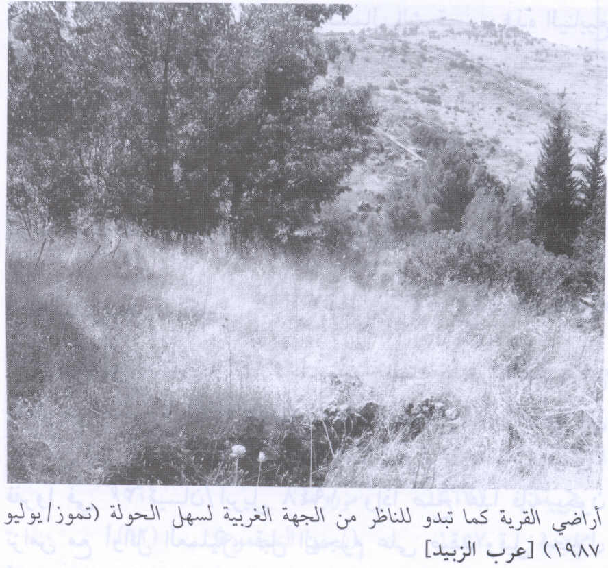 صورة لقرية عرب الزبيد - فلسطين: : منظر لأراضي القرية من الجهة الغربية من سهل الحولة المجففة، 1987