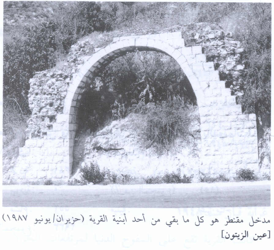 صورة لقرية عين الزيتون - فلسطين: : مدخل لبيت هدمه الصهاينة، 1987. كيف شئ جميل كقوس حجري كهذا يمزج بجرائم حرب كالتطير العرقي وإغتصاب الارض.