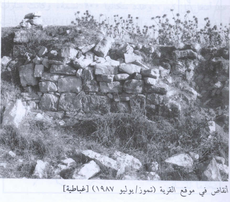 صورة لقرية غباطية - فلسطين: : أطلال بيوت القرية المدمرة. 1987