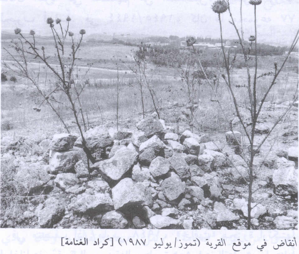 صورة لقرية كراد الغنامة - فلسطين: : أطلال البيويت المدمرة. 1987