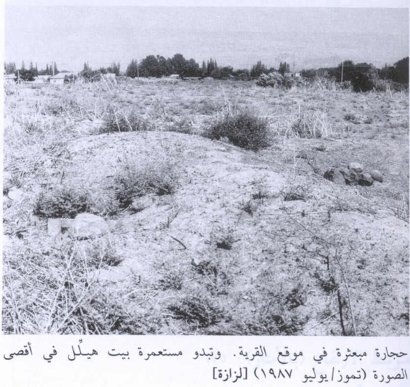 صورة لقرية لزازة - فلسطين: : أطلال البيويت المدمرة. 1987