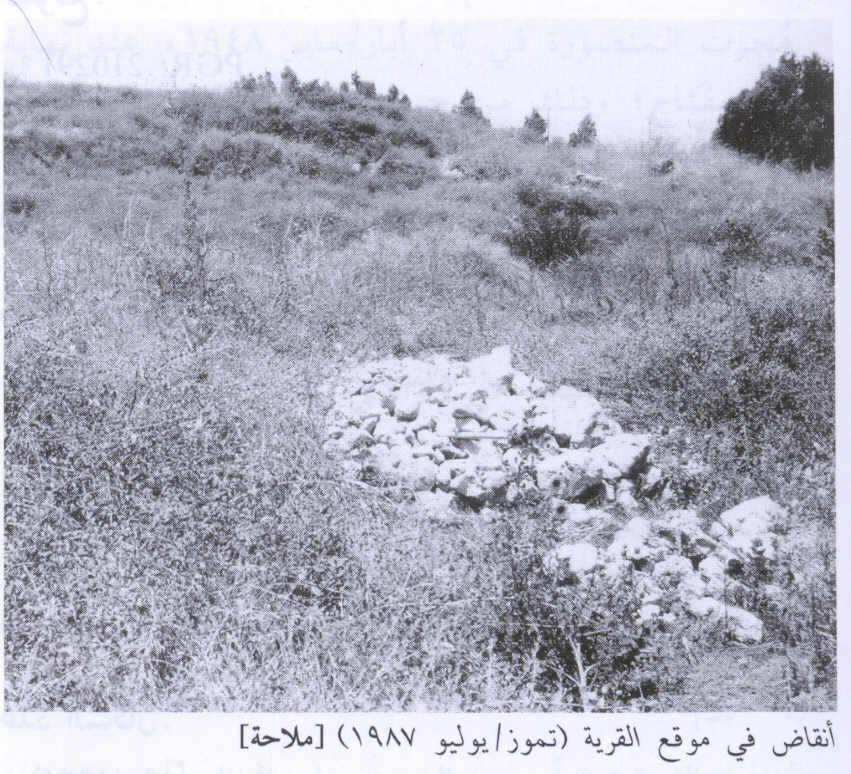صورة لقرية ملاحة (عرب الزبيد) - فلسطين: : أطلال البيويت المدمرة. 1987